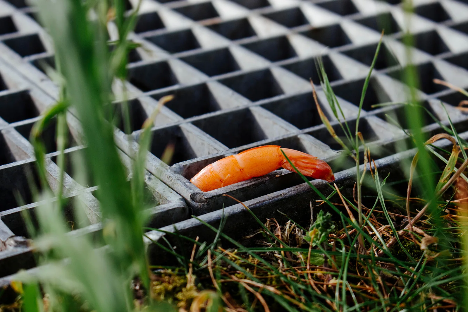 USB Fishstick
