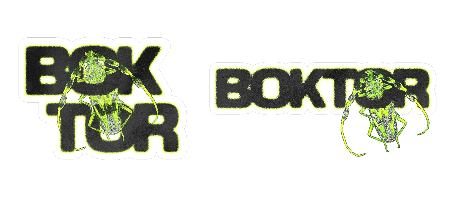 sauscore boktor
